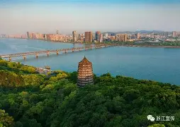  尤文对埃因霍温直播视频 